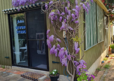 Our beautiful wisteria framing the classroom